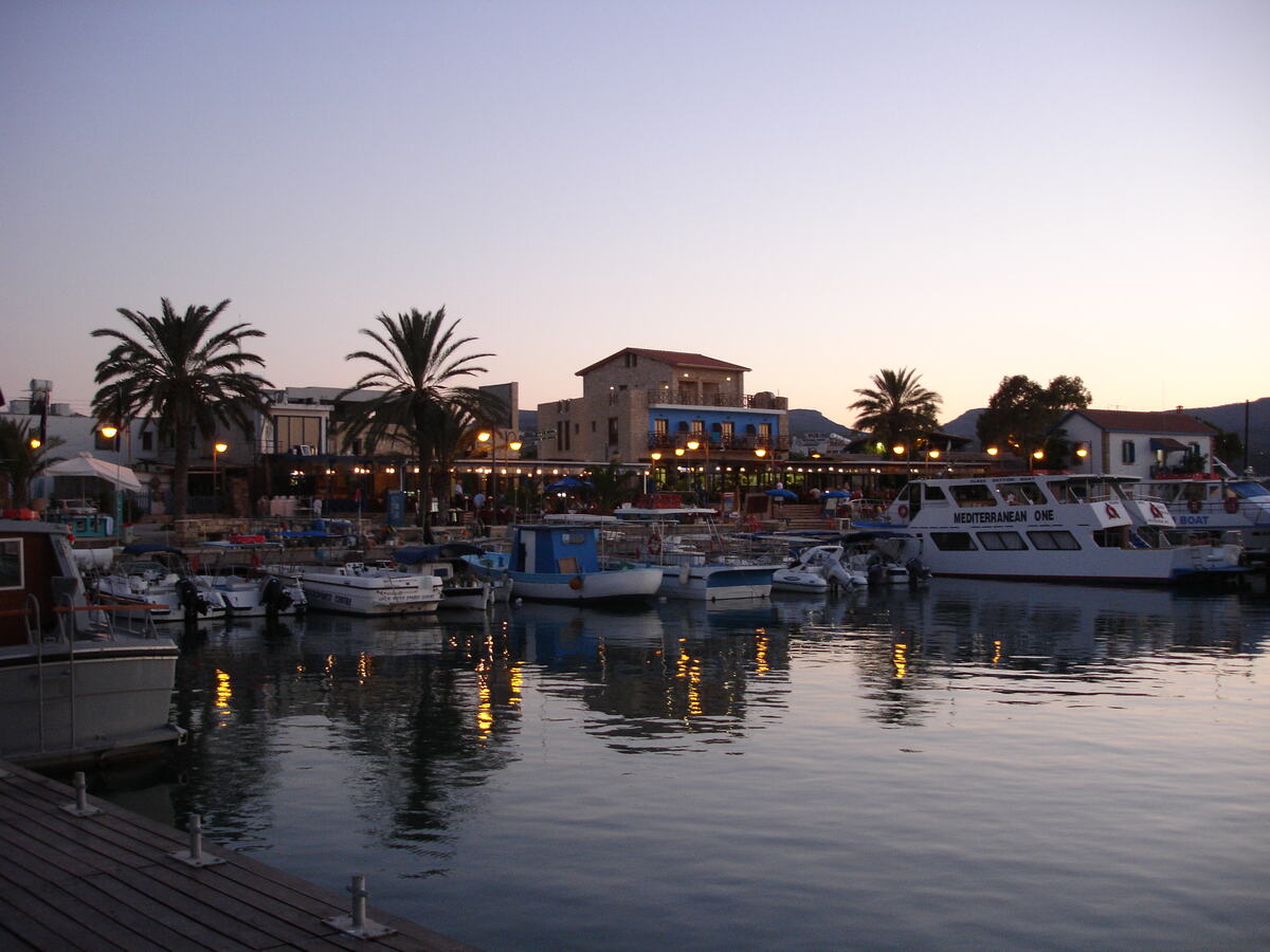 Fishing boats moored in Latchi harbour at dusk, with palm trees and lights along the waterfront